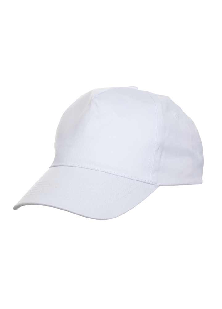 CP0500